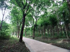 -昆山城市生态森林公园