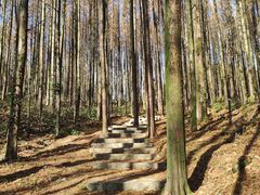 -山王坪喀斯特国家生态公园