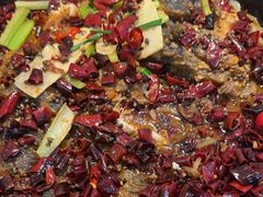 -老板恋上鱼(印象城店)