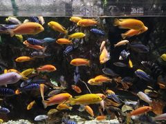 -太平洋海底世界