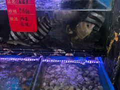 水产区-金海湾海鲜排档(朱家尖店)