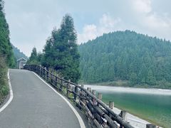 -武陵山森林公园