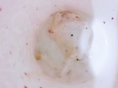 -DQ·蛋糕·冰淇淋(嘉兴南湖万达店)