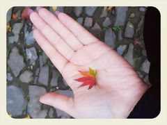 MA201211240821010003-c1-1c0033-九溪烟树