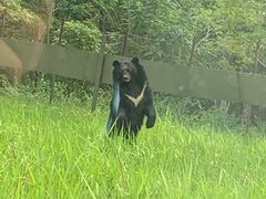 -海南热带野生动植物园