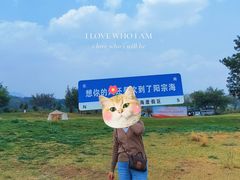 -阳宗海湿地
