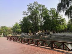 -莲湖公园