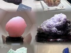 -安徽省地质博物馆