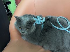 -沐沐家宠物(成寿寺店)