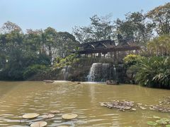 -中国科学院西双版纳热带植物园