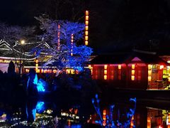 -东湖磨山景区樱花园-停车场