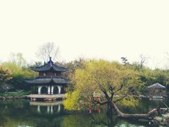 -水绘园