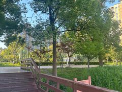 -新江湾城公园