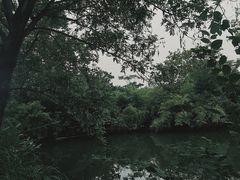 -太极禅苑