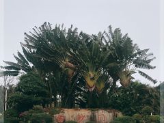 -白沙门生态公园