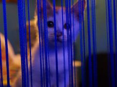 -星宿秘码(鼓浪屿老店)