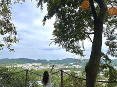 -伴山茶苑·围炉煮茶