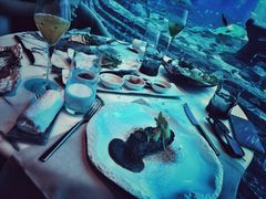 -亚特兰蒂斯•OSSIANO奥西亚诺海底餐厅