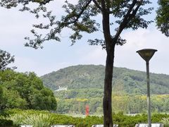 -长广溪湿地公园