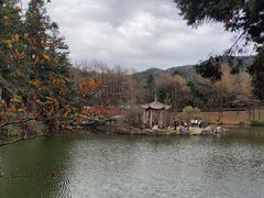 -四明山国家森林公园