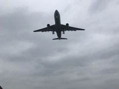 -空港花田景区