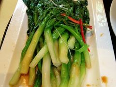 -十八棵（老龙井）御茶园(老龙井店)