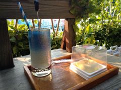 -柴犬高等学院·狗咖·柴犬售卖·宠物训练