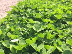 -北京国家会计学院