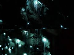 -怀托摩萤火虫洞