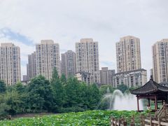 -龙头寺公园