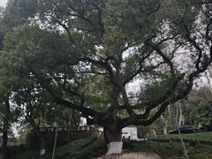 -中国美术学院象山校区-民艺博物馆