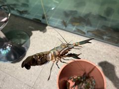 -虾胡闹龙虾馆(湄南河店)