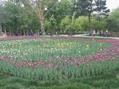 -长春公园(普阳街道)