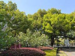 -苏州大学(天赐庄校区)