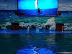 -多彩贵州城极地海洋世界