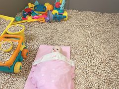 -kizfive亲子餐厅(文立方店)