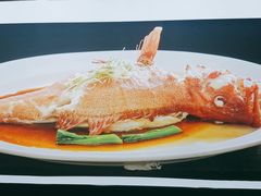 -顺峰(农展馆店)