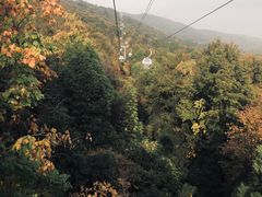 -紫金山索道-售票处