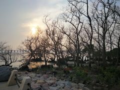 -宝安西湾红树林湿地公园