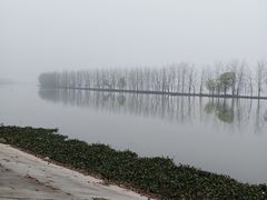 -洪湖生态旅游区