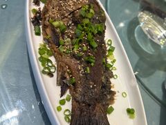 -高玛纳驴肉火烧(河间总店)