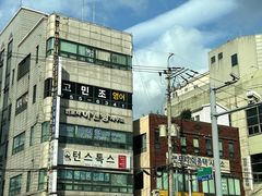 -莲洞本家