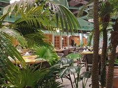 -春润大地海南椰子鸡(沙井京基百纳广场店)