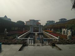 -百万葵园