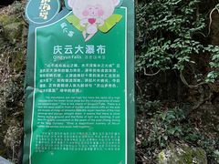 -南海湾森林生态园