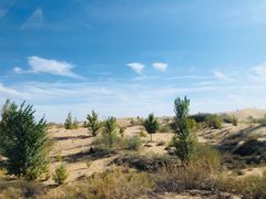 -亿利库布其七星湖沙漠生态旅游区