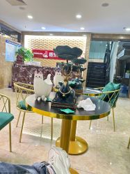 -悟空祛痘·诺奖技术专业店