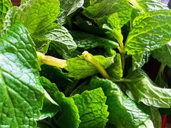 -攀枝花·任德琼·盐边羊肉米线