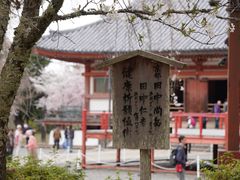 -醍醐寺