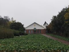 -天目湖涵田半山温泉